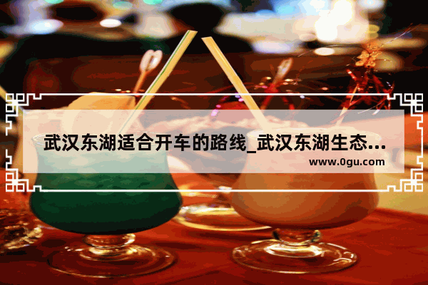 武汉东湖适合开车的路线_武汉东湖生态旅游风景区要门票吗