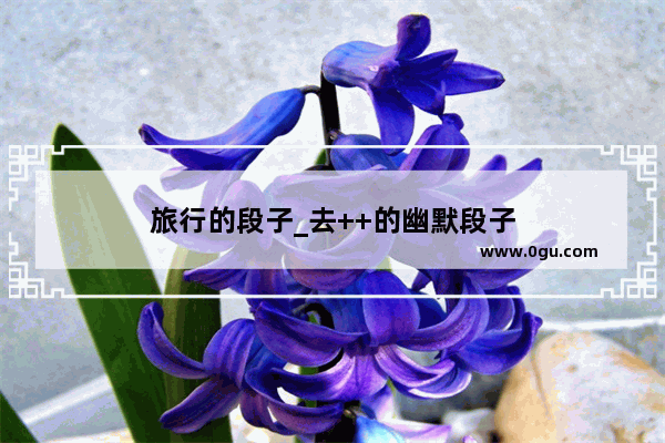 旅行的段子_去++的幽默段子