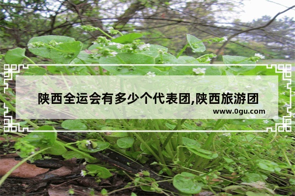 陕西全运会有多少个代表团,陕西旅游团