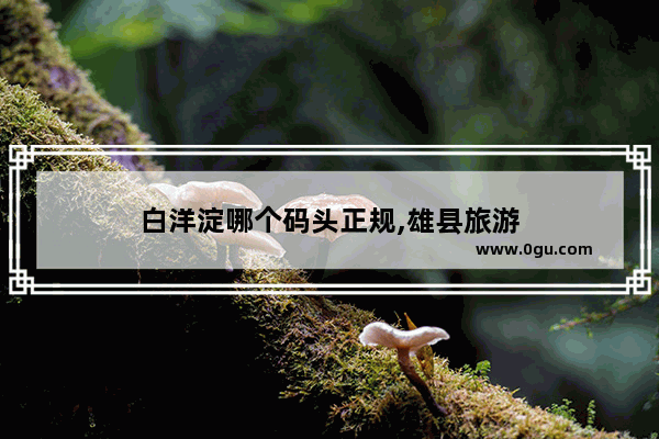 白洋淀哪个码头正规,雄县旅游