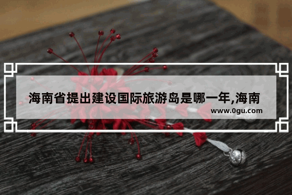 海南省提出建设国际旅游岛是哪一年,海南 国际旅游岛