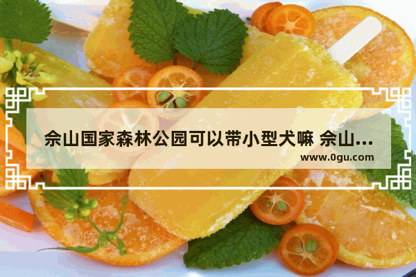 佘山国家森林公园可以带小型犬嘛 佘山旅游