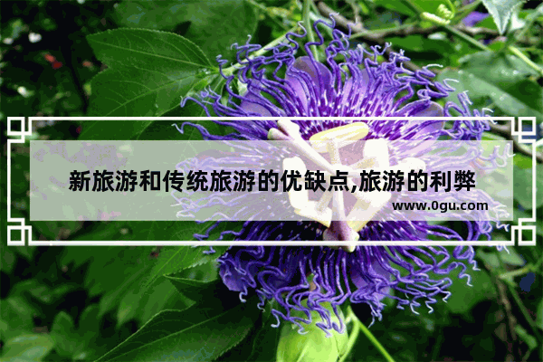 新旅游和传统旅游的优缺点,旅游的利弊