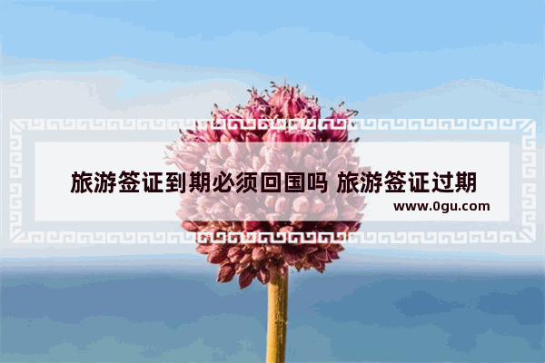 旅游签证到期必须回国吗 旅游签证过期