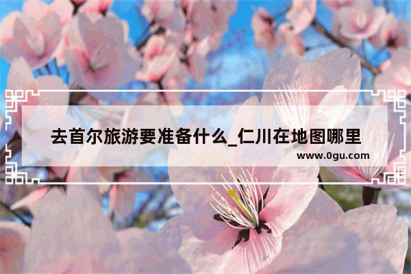 去首尔旅游要准备什么_仁川在地图哪里