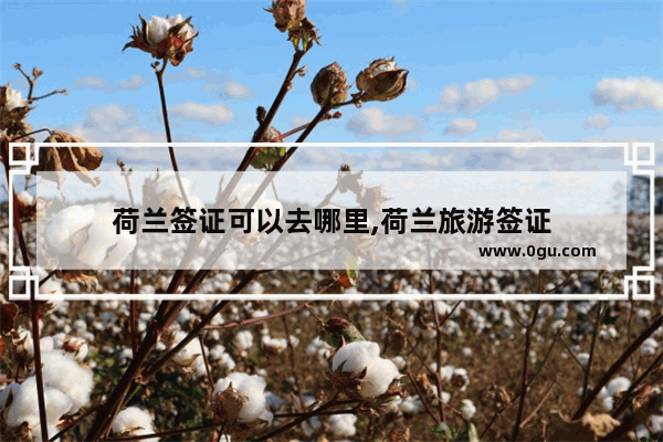 荷兰签证可以去哪里,荷兰旅游签证