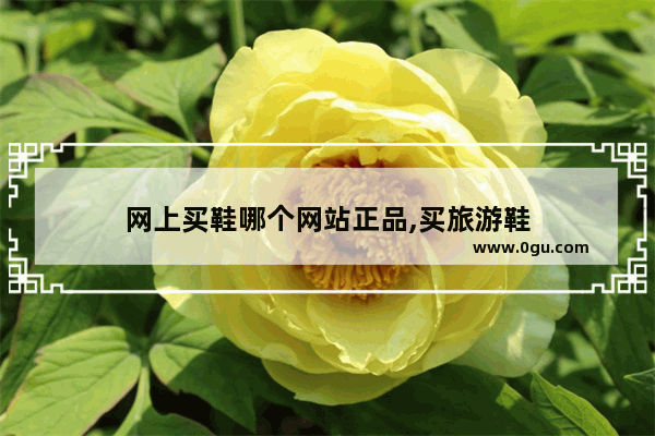 网上买鞋哪个网站正品,买旅游鞋