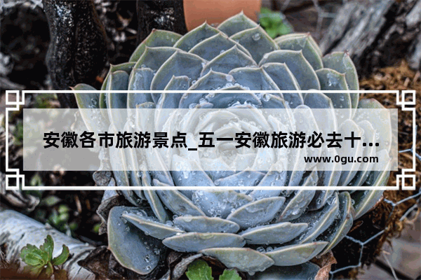 安徽各市旅游景点_五一安徽旅游必去十大景点