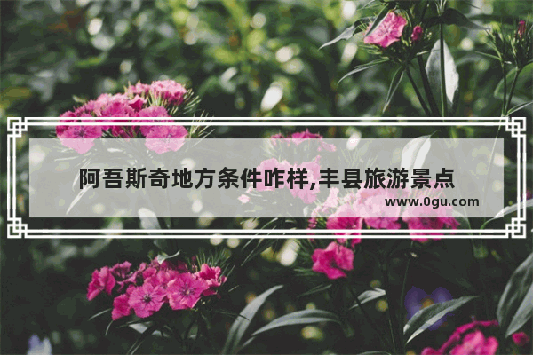 阿吾斯奇地方条件咋样,丰县旅游景点