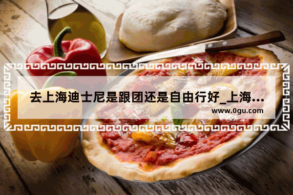 去上海迪士尼是跟团还是自由行好_上海直达扬州三日跟团游价格