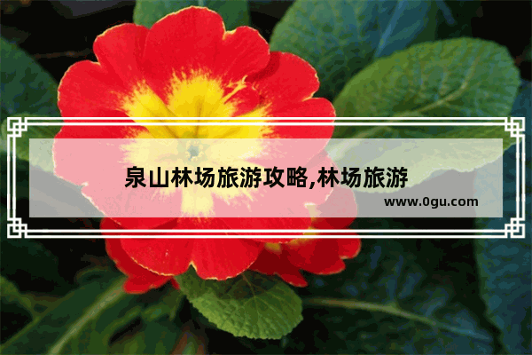 泉山林场旅游攻略,林场旅游