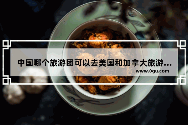 中国哪个旅游团可以去美国和加拿大旅游的团吗_我想去加拿大旅游 再去美国 请问怎么办签证最方便