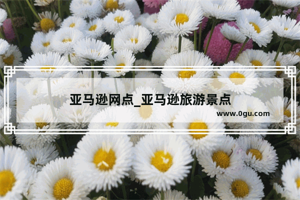 亚马逊网点_亚马逊旅游景点