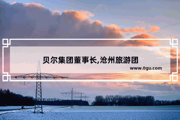 贝尔集团董事长,沧州旅游团