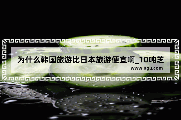 为什么韩国旅游比日本旅游便宜啊_10吨芝麻要出口到韩国 整个费用要多少