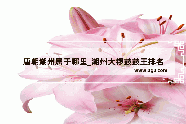 唐朝潮州属于哪里_潮州大锣鼓鼓王排名