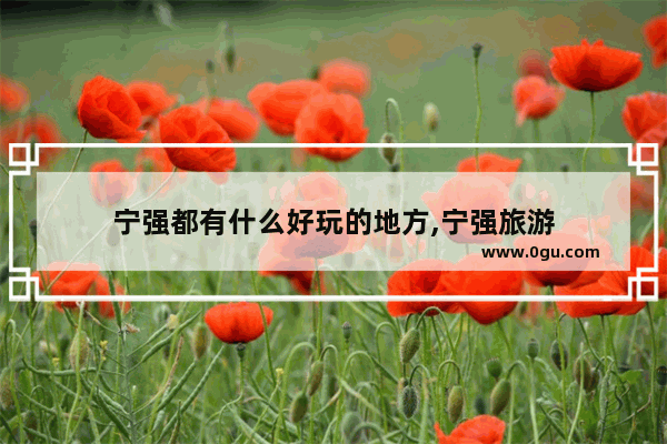 宁强都有什么好玩的地方,宁强旅游