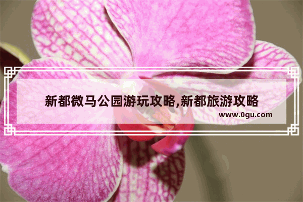 新都微马公园游玩攻略,新都旅游攻略