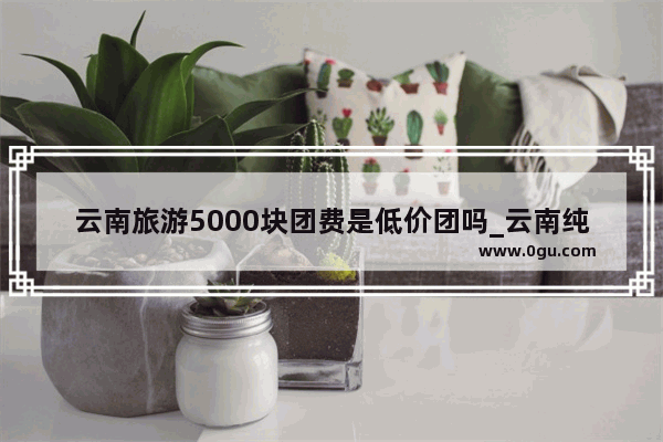 云南旅游5000块团费是低价团吗_云南纯玩团5000左右贵吗
