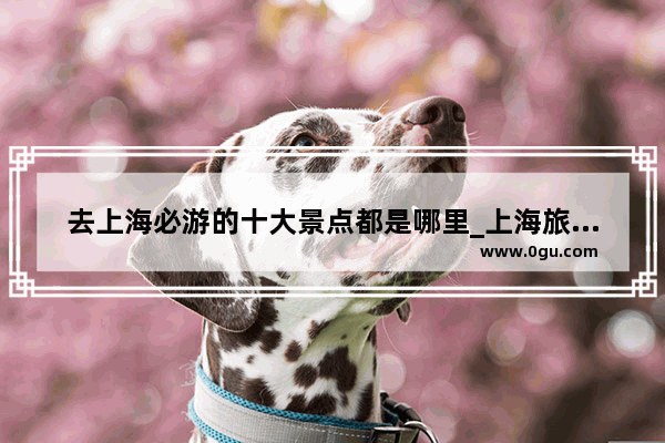 去上海必游的十大景点都是哪里_上海旅游攻略 一日游