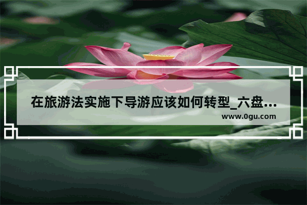 在旅游法实施下导游应该如何转型_六盘水哪一年开始转型旅游