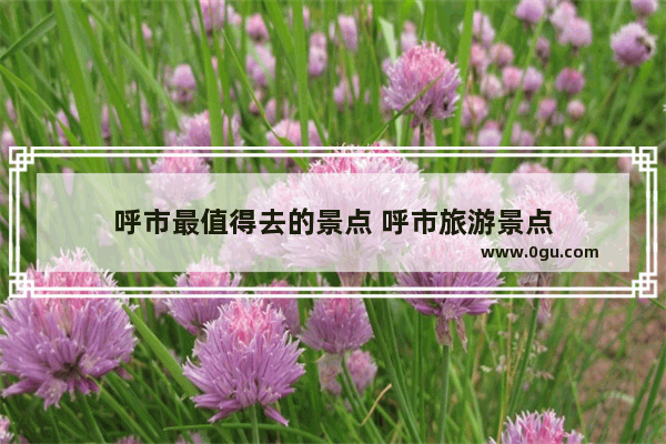 呼市最值得去的景点 呼市旅游景点