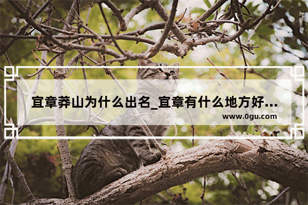 宜章莽山为什么出名_宜章有什么地方好玩的