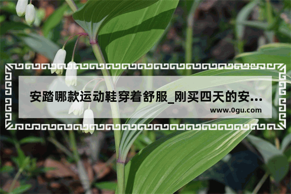 安踏哪款运动鞋穿着舒服_刚买四天的安踏运动鞋磨脚 要求退货遭拒绝