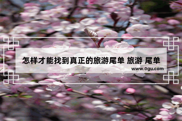 怎样才能找到真正的旅游尾单 旅游 尾单