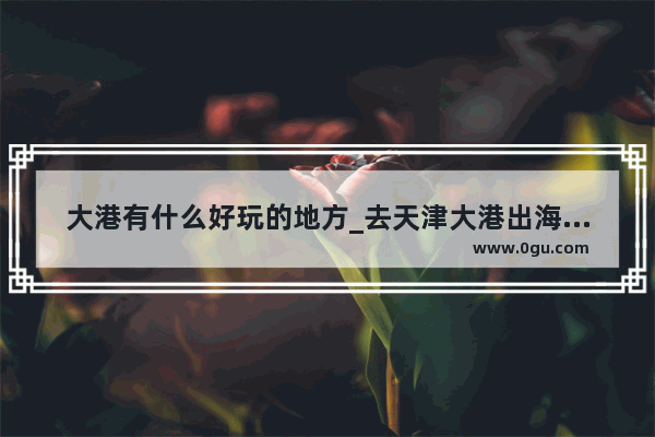 大港有什么好玩的地方_去天津大港出海游玩需要准备什么