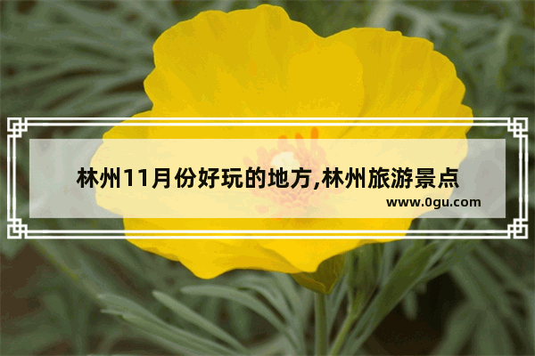 林州11月份好玩的地方,林州旅游景点