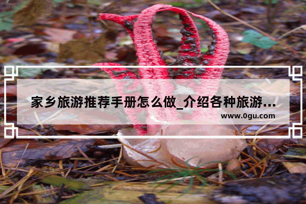 家乡旅游推荐手册怎么做_介绍各种旅游景点文案