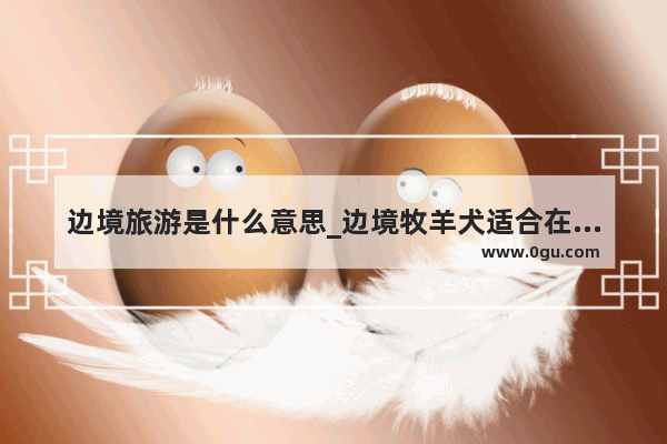 边境旅游是什么意思_边境牧羊犬适合在城市养吗