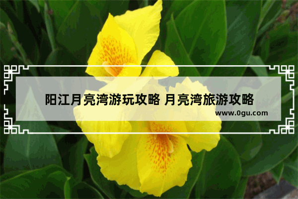 阳江月亮湾游玩攻略 月亮湾旅游攻略