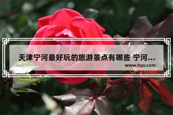 天津宁河最好玩的旅游景点有哪些 宁河旅游,宁河旅游