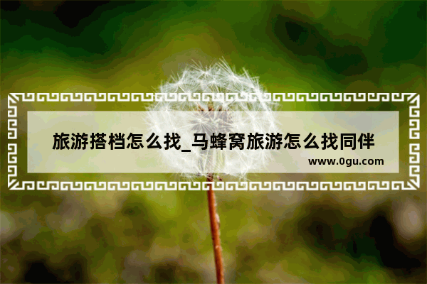 旅游搭档怎么找_马蜂窝旅游怎么找同伴