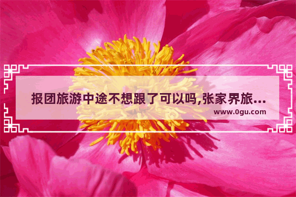 报团旅游中途不想跟了可以吗,张家界旅游跟团