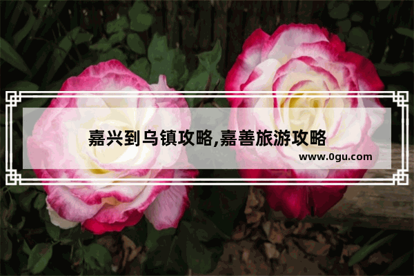 嘉兴到乌镇攻略,嘉善旅游攻略