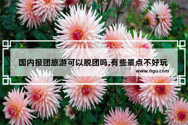 国内报团旅游可以脱团吗,有些景点不好玩 有什么法律条文吗 急急急 旅游脱团