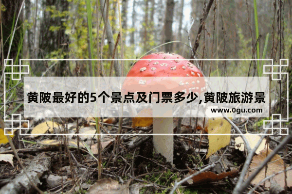 黄陂最好的5个景点及门票多少,黄陂旅游景点