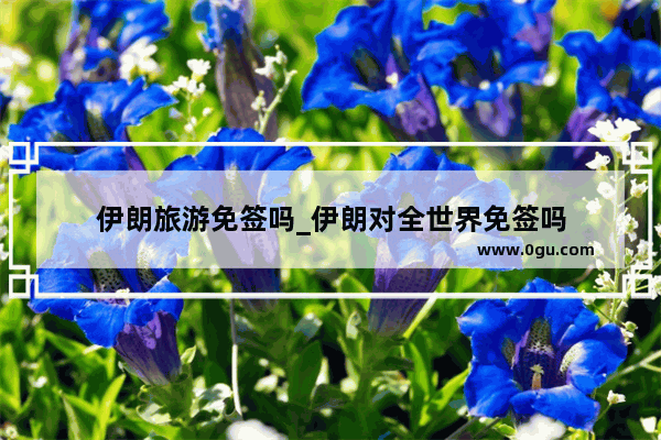 伊朗旅游免签吗_伊朗对全世界免签吗