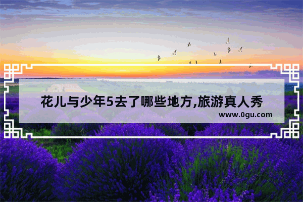 花儿与少年5去了哪些地方,旅游真人秀