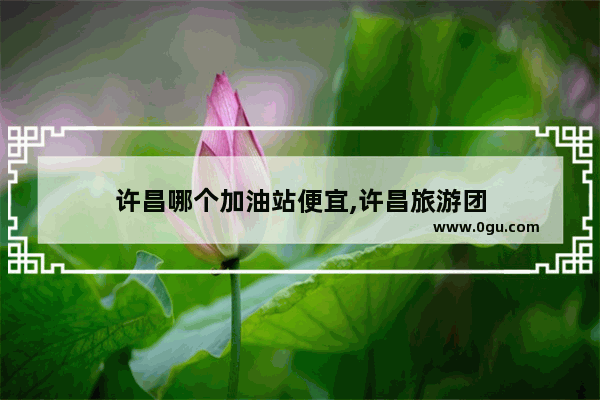 许昌哪个加油站便宜,许昌旅游团