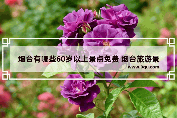 烟台有哪些60岁以上景点免费 烟台旅游景区