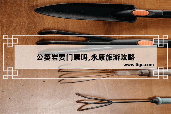公婆岩要门票吗,永康旅游攻略