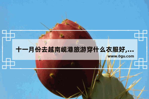 十一月份去越南岘港旅游穿什么衣服好,越南岘港旅游