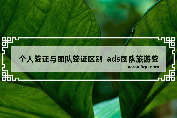 个人签证与团队签证区别_ads团队旅游签证什么意思