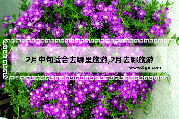 2月中旬适合去哪里旅游,2月去哪旅游