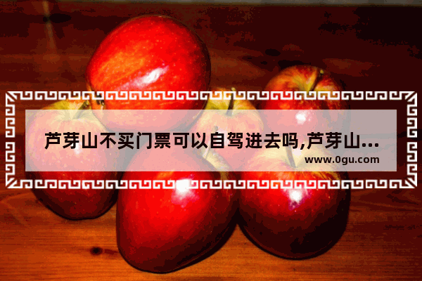 芦芽山不买门票可以自驾进去吗,芦芽山旅游