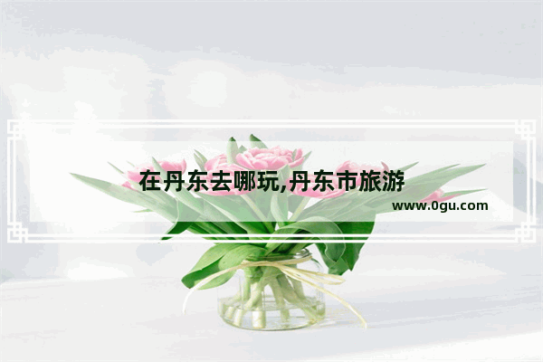 在丹东去哪玩,丹东市旅游